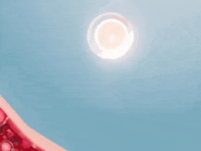 Absorção do colágeno na pele